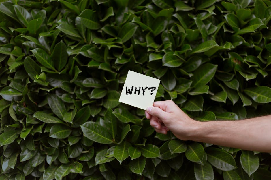 Personalization in Email: Why It Matters